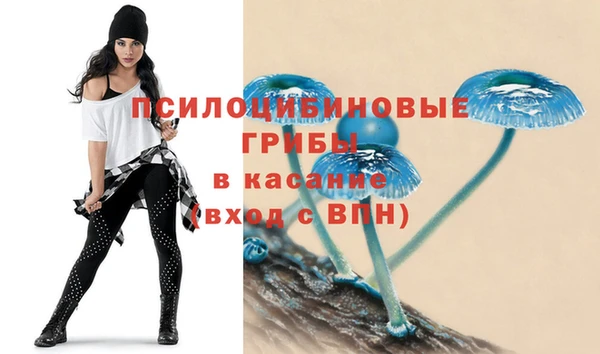 мяу мяу мука Алексин