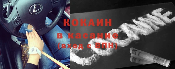 соль ск Алзамай