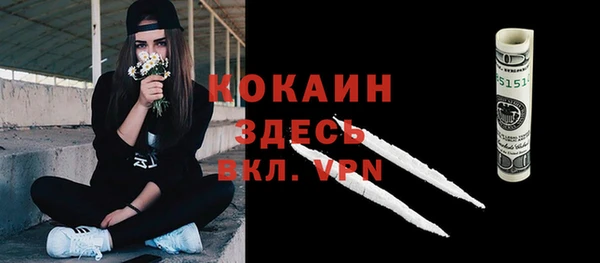 соль ск Алзамай
