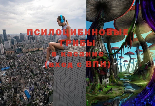 мяу мяу мука Алексин