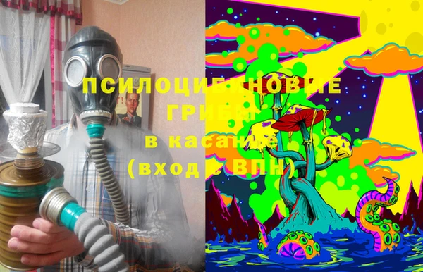 бутират Алексеевка