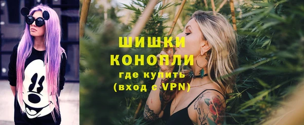 соль ск Алзамай