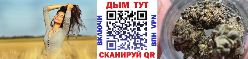 закладки  Любим  Шишки марихуана сатива 